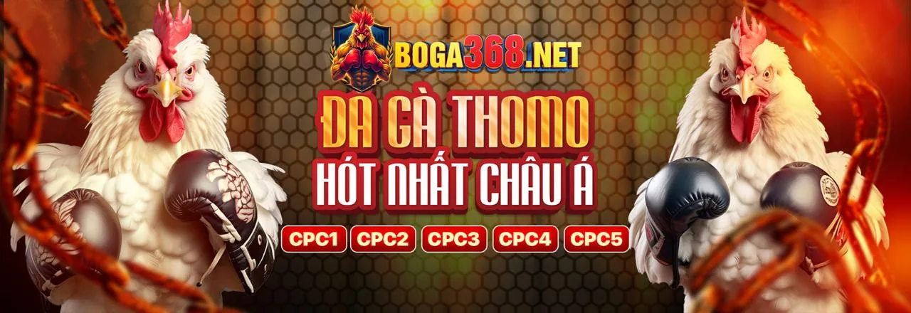 Sòng bài trực tuyến ac88 hàng đầu Việt Nam
